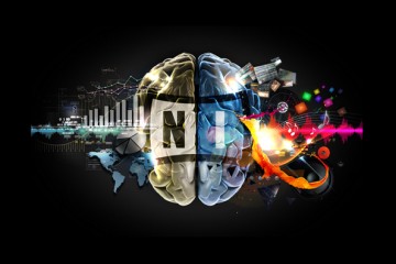 Canal Native Instruments brain collage