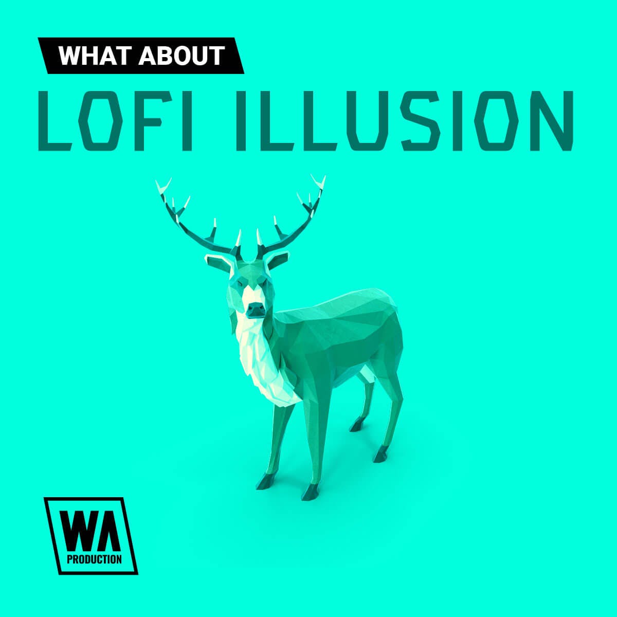 What About: Lofi Illusion