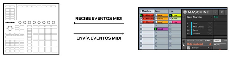 Compatibilidad asegurada con tu DAW: Maschine soporta MIDI CC, incluso con equipos y sintes externos 