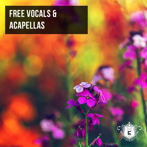 Free Vocals And Acappellas